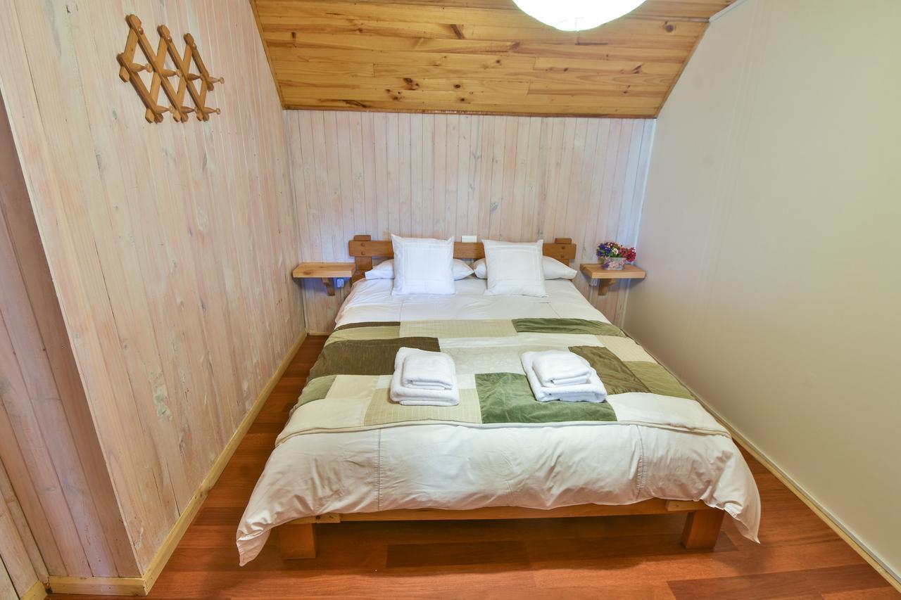 Hola Pucon Hotel Bagian luar foto